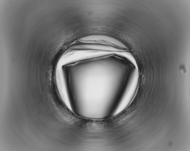 X0000091530739200709141435