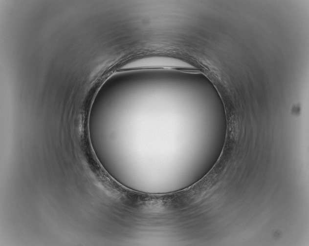 X0000091530740200709141435