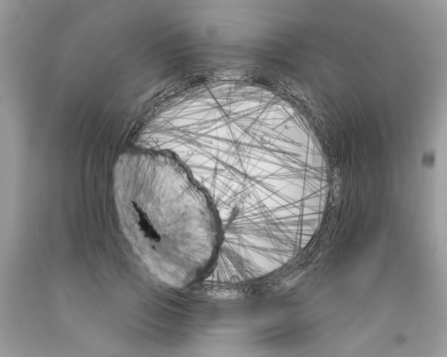 X0000091530741200709141435