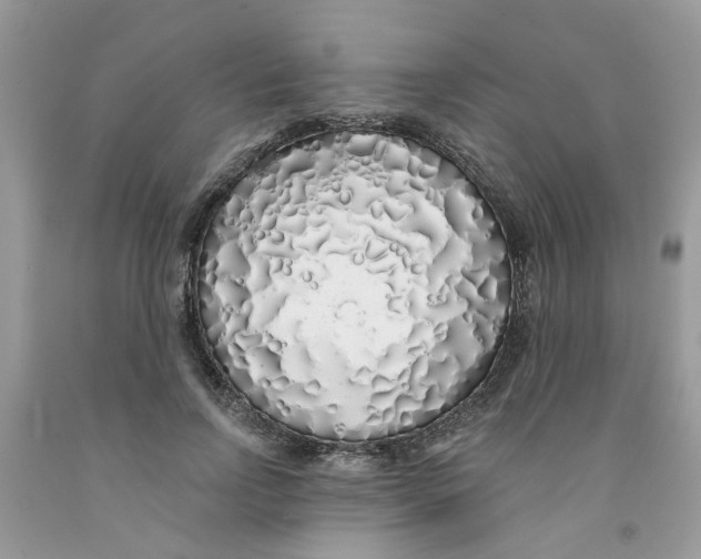 X0000091530742200709141435