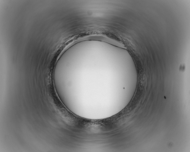 X0000091530743200709141435