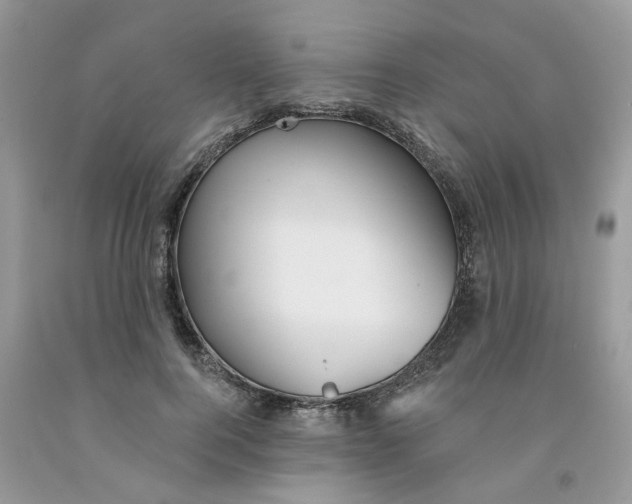 X0000091530744200709141435