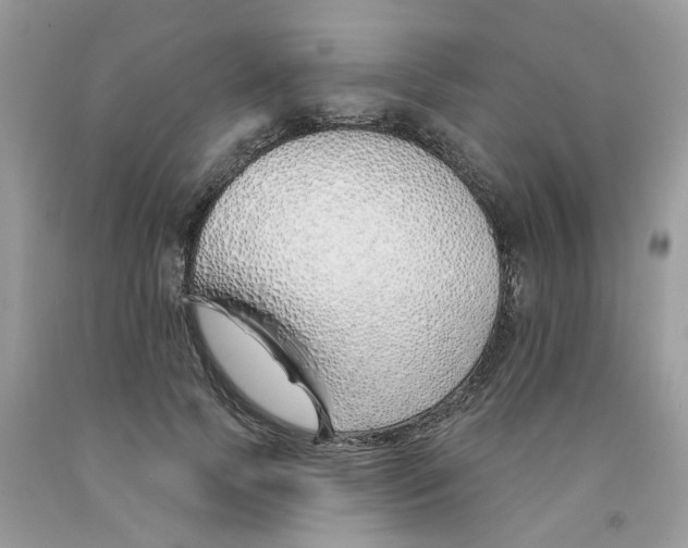 X0000091530745200709141435