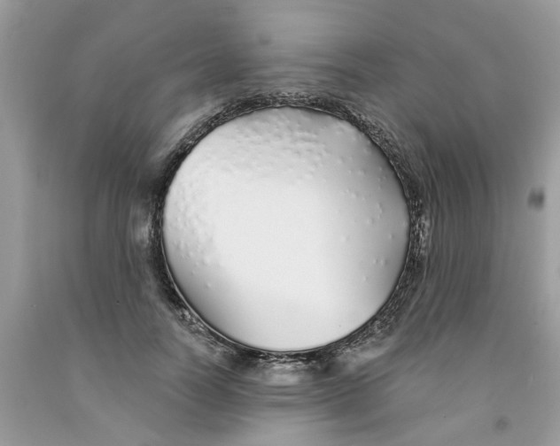X0000091530746200709141435