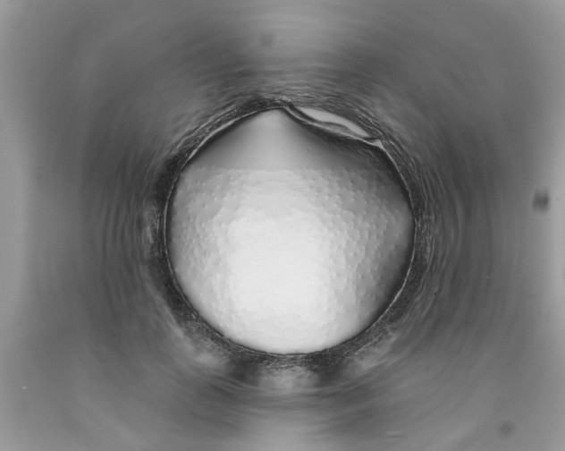 X0000091530747200709141435