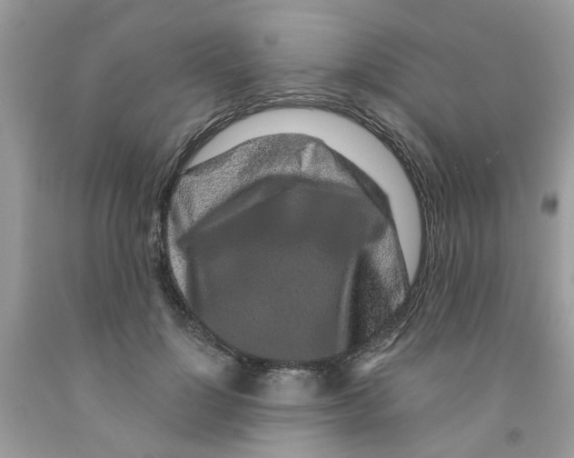X0000091530748200709141435