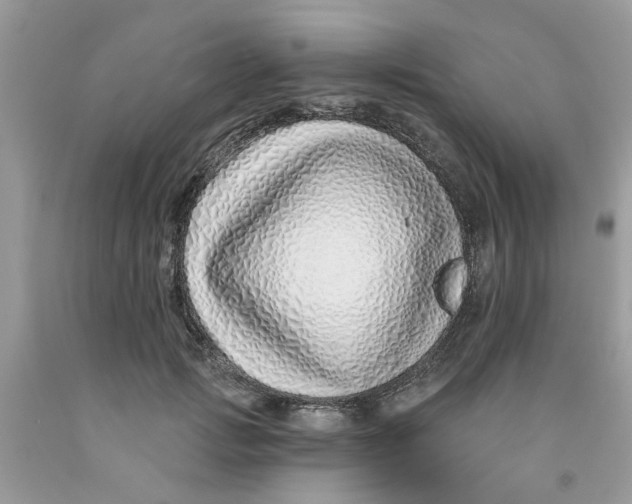 X0000091530749200709141435