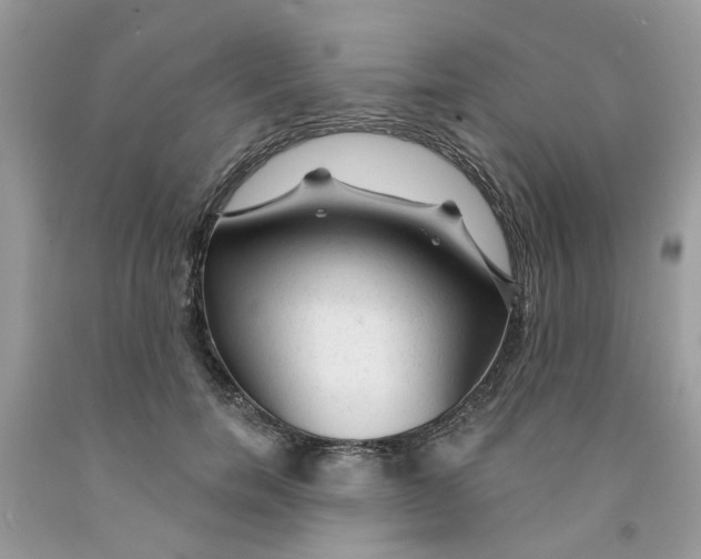 X0000091530750200709141435