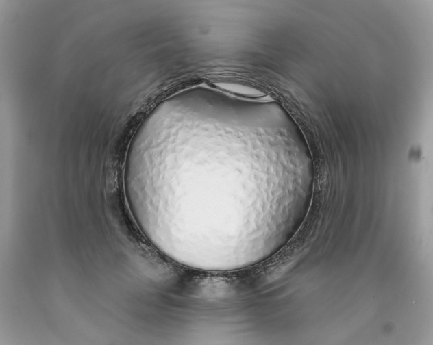 X0000091530751200709141435