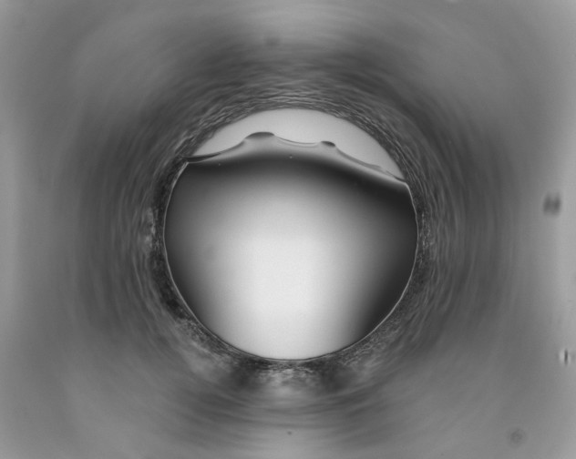 X0000091530752200709141435