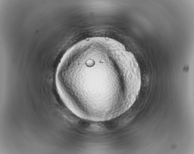 X0000091530753200709141435