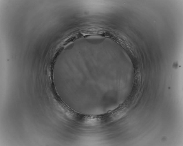 X0000091530754200709141435