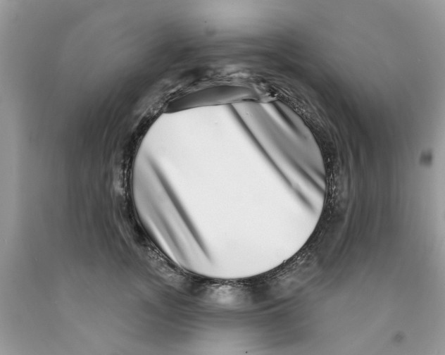 X0000091530755200709141435
