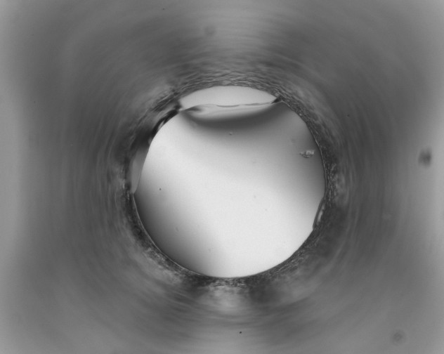 X0000091530756200709141435