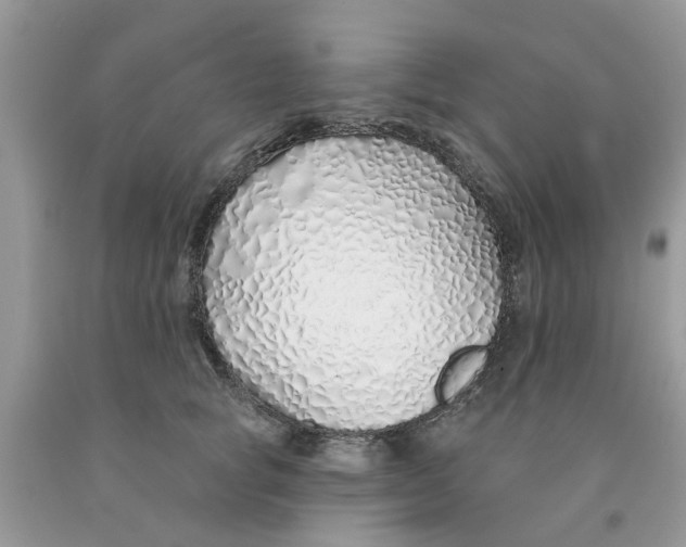 X0000091530757200709141435