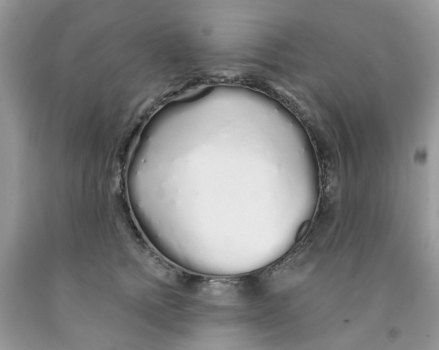 X0000091530758200709141435