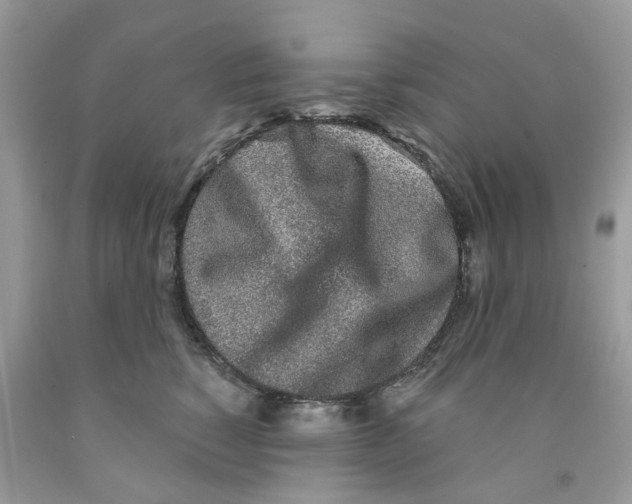 X0000091530760200709141435