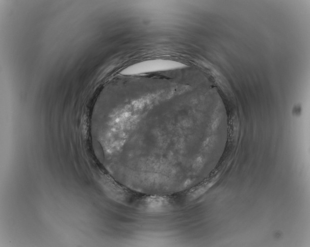 X0000091530762200709141435