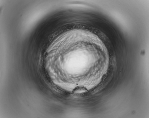 X0000091530763200709141435