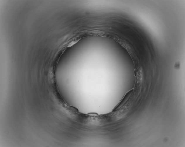 X0000091530764200709141435