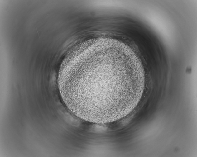 X0000091530765200709141435