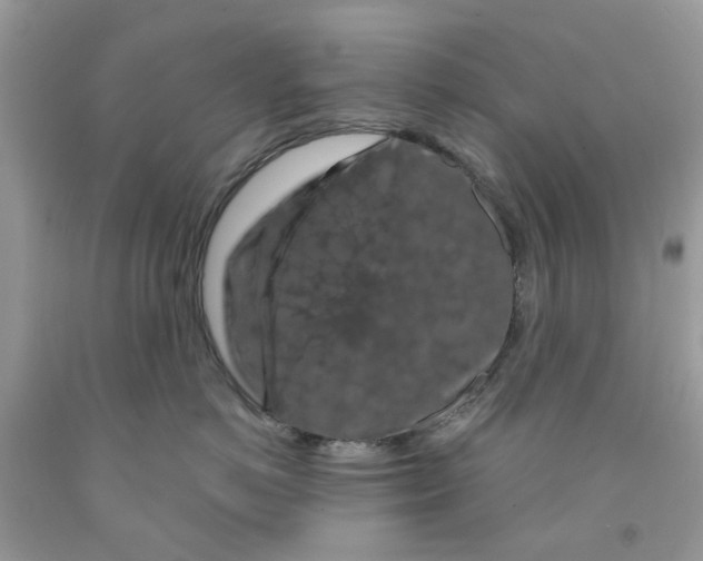 X0000091530766200709141435