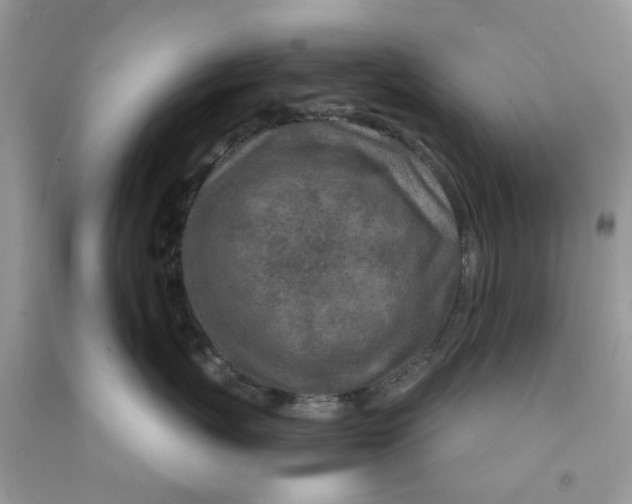 X0000091530767200709141435