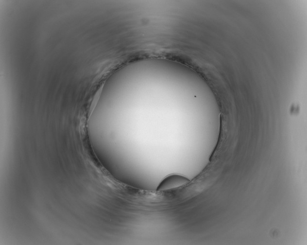 X0000091530768200709141435