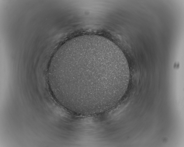 X0000091530769200709141434