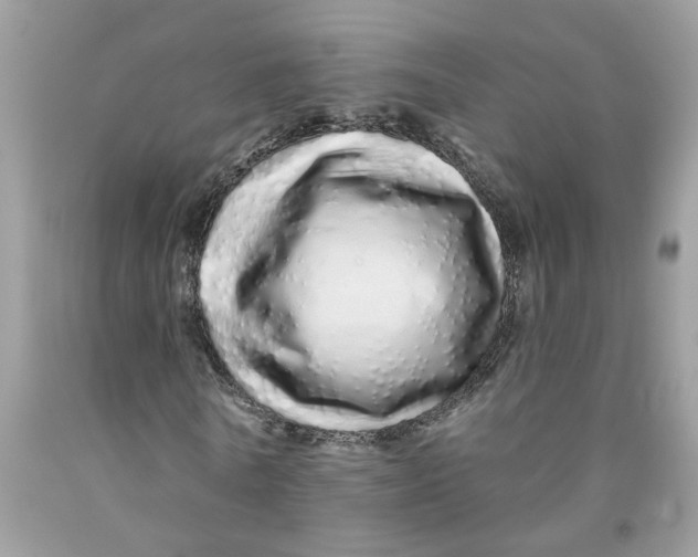 X0000091530770200709141434