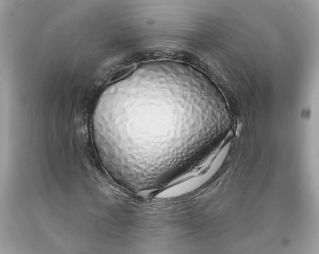 X0000091530771200709141434