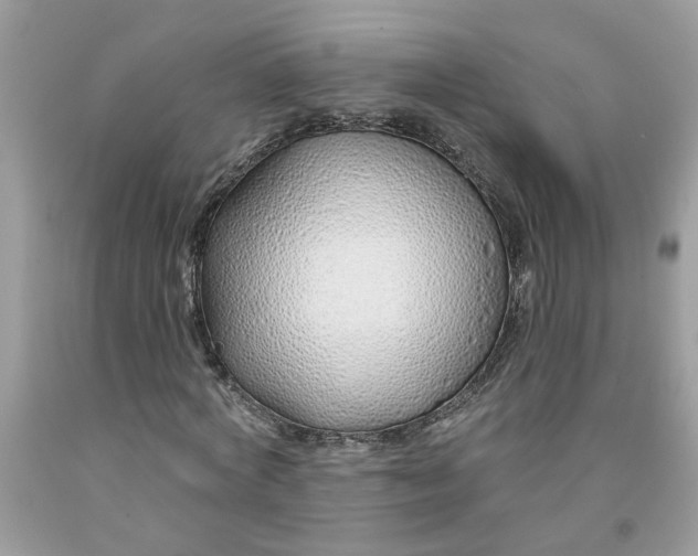 X0000091530772200709141434