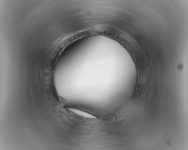 X0000091530773200709141434