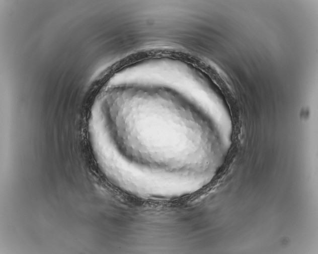 X0000091530775200709141434