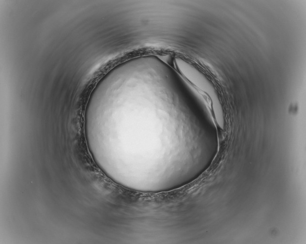 X0000091530776200709141434