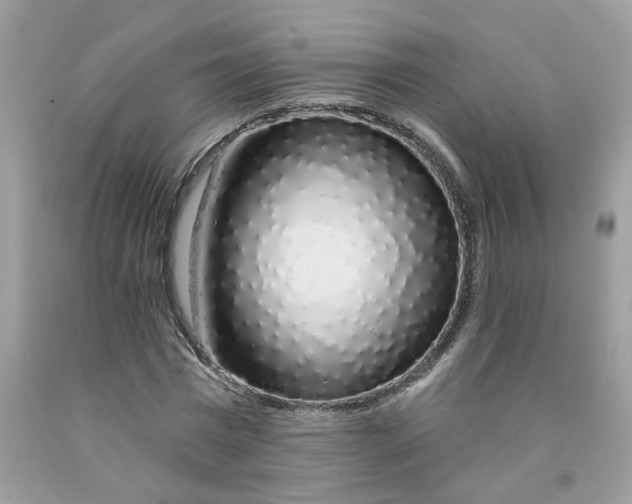 X0000091530777200709141434
