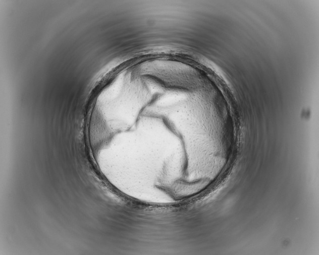 X0000091530778200709141434