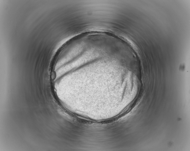 X0000091530779200709141434