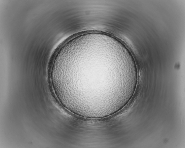 X0000091530780200709141434
