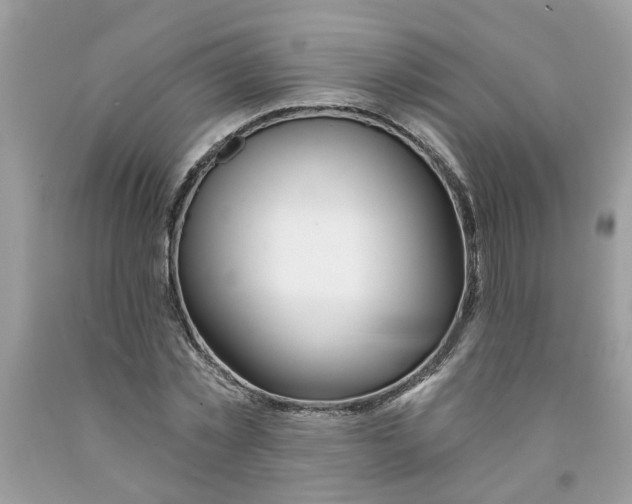 X0000091530781200709141434