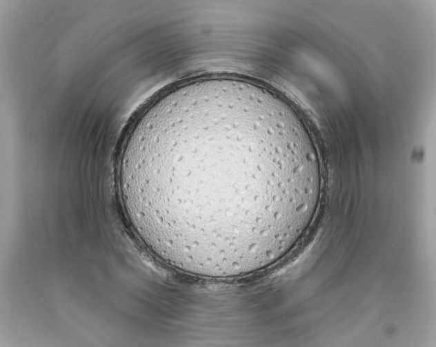 X0000091530782200709141434