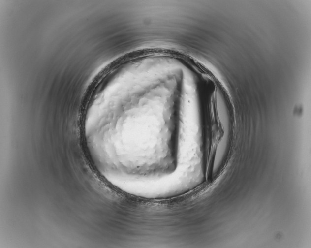 X0000091530783200709141434