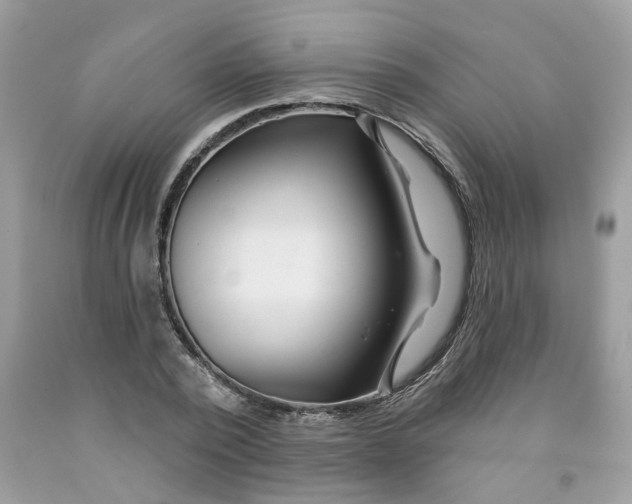 X0000091530784200709141434