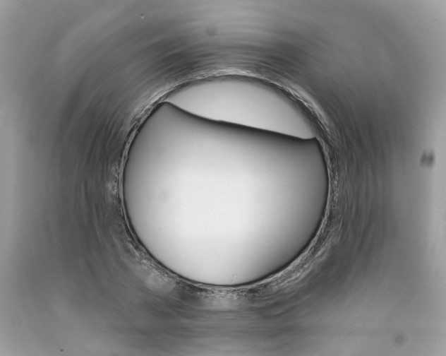 X0000091530785200709141434