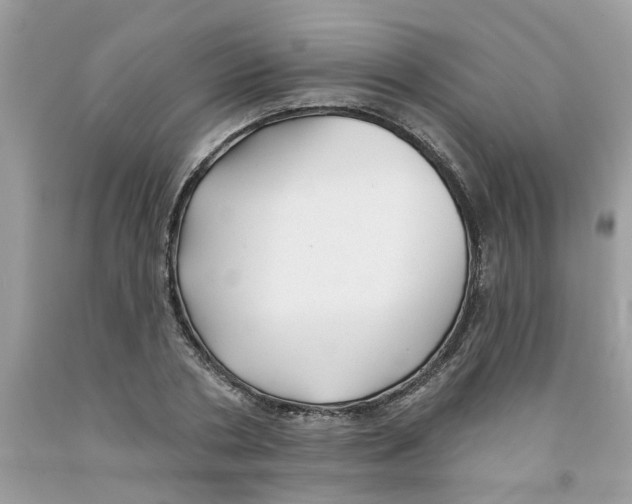 X0000091530786200709141434