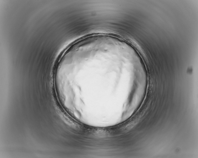 X0000091530787200709141434