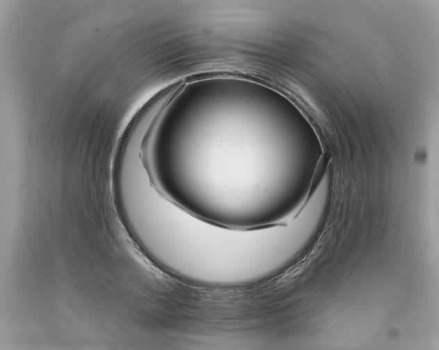 X0000091530788200709141434