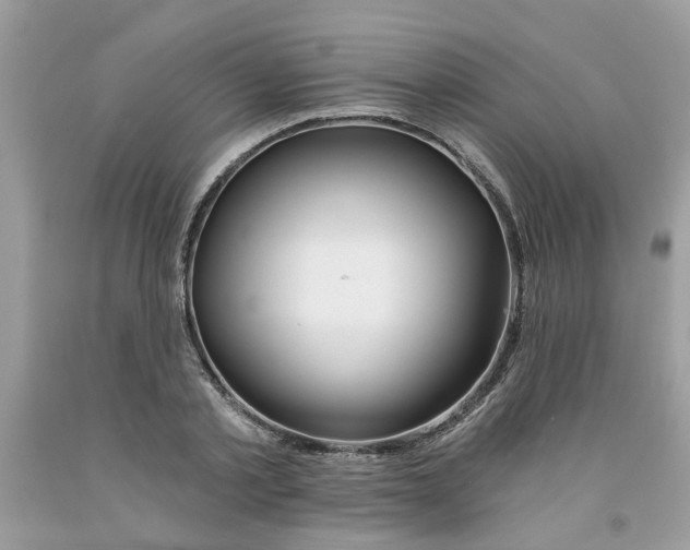 X0000091530789200709141434