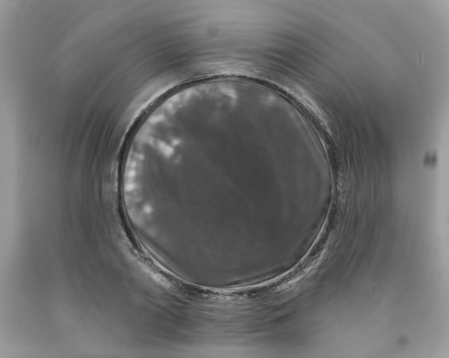 X0000091530790200709141434
