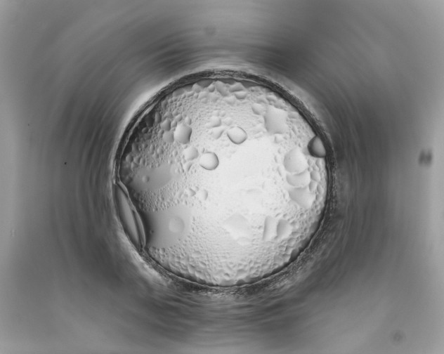 X0000091530791200709141434